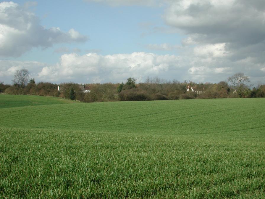 Countryside around Stansted