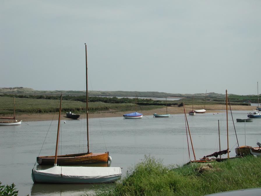 Salt marshes