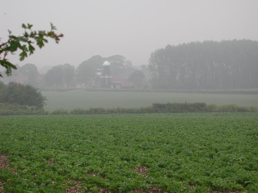Our mill complex in morning mist