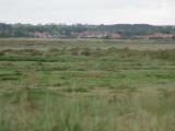 Looking back at Thornham