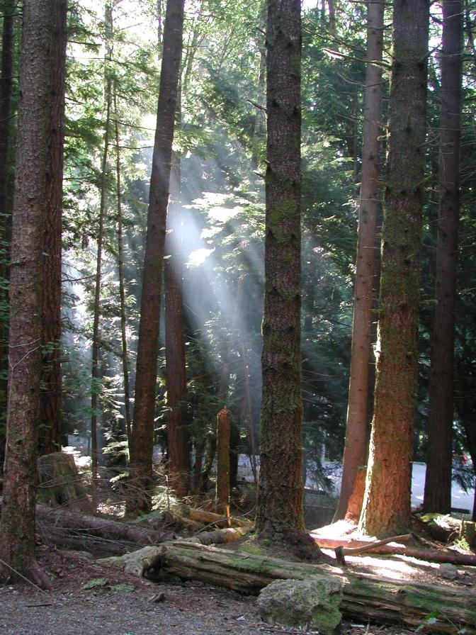 Camping at Alice Lake Provincial Park