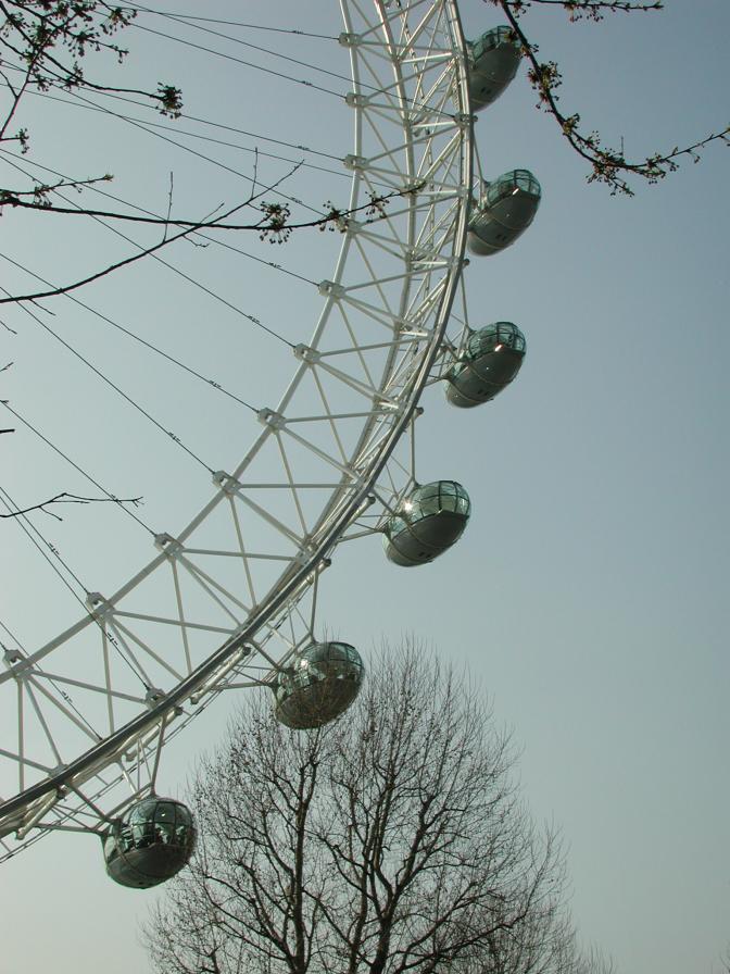 View from Playground