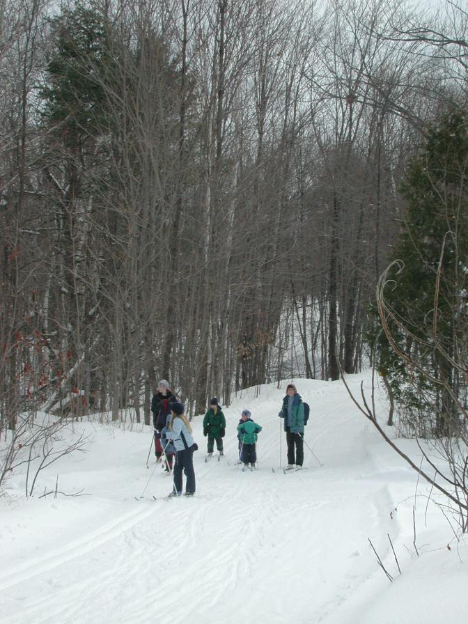 Beavers on the Trail