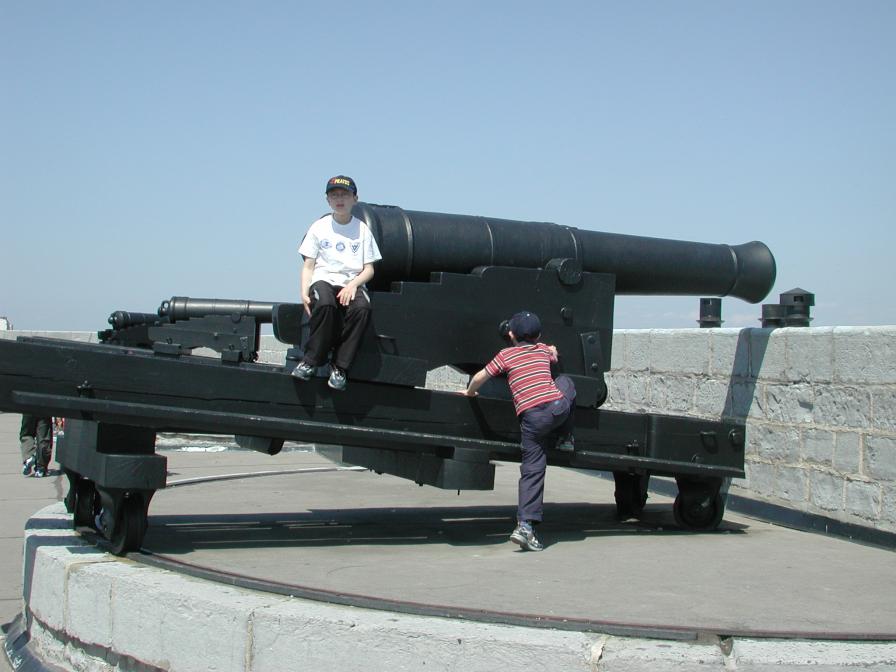 Cannon