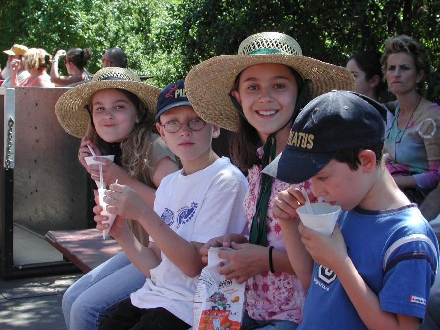 Roaring Camp Railway