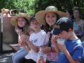Roaring Camp Railway