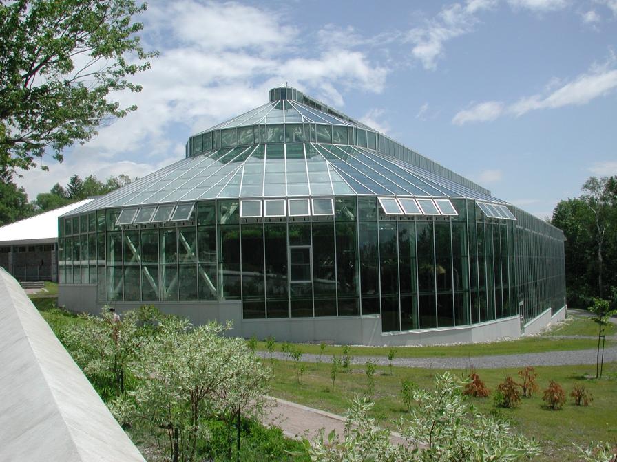 Indo-Australian something-ium