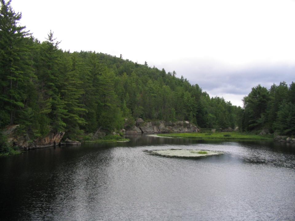 Looking back from the head of Carcajou Bay