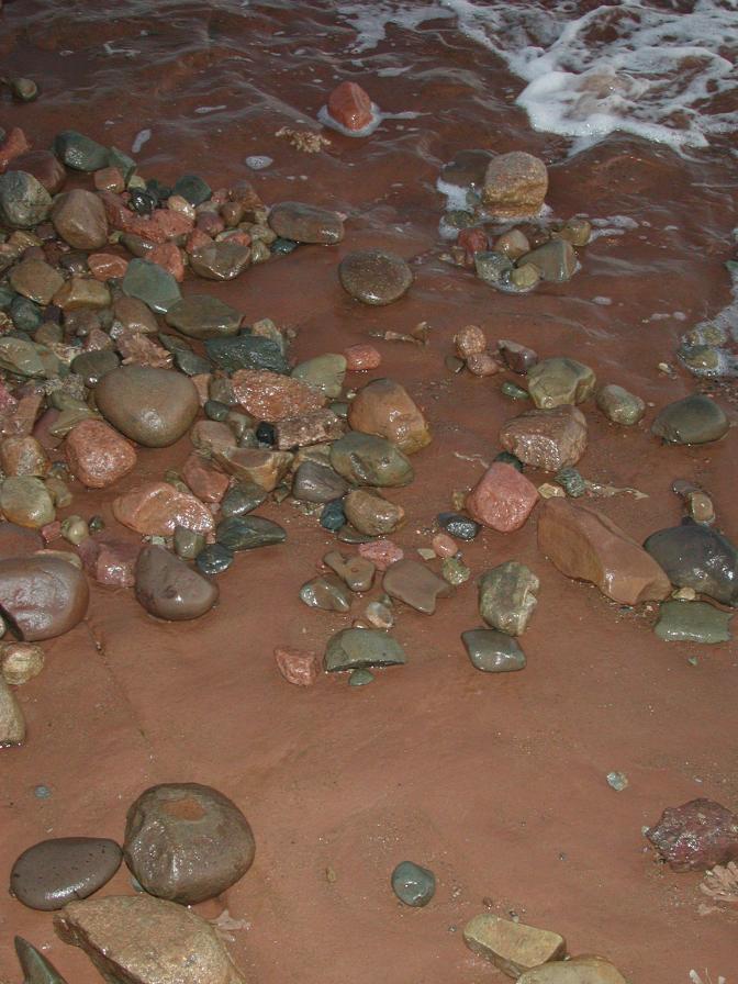 Rocks and Fundy mud