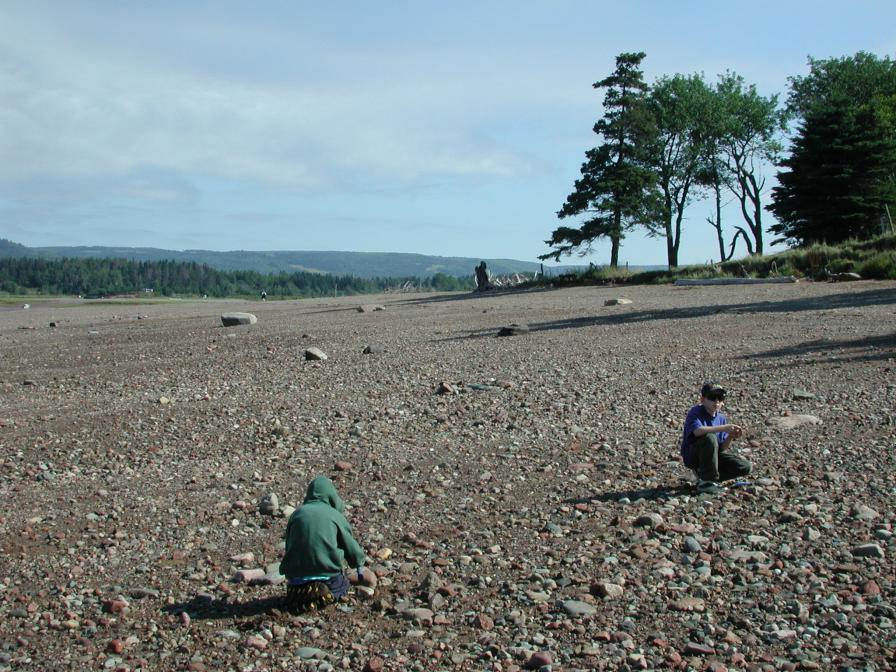 Rockhounds at low tide