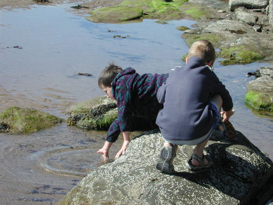 Melmerby Beach near Pictou