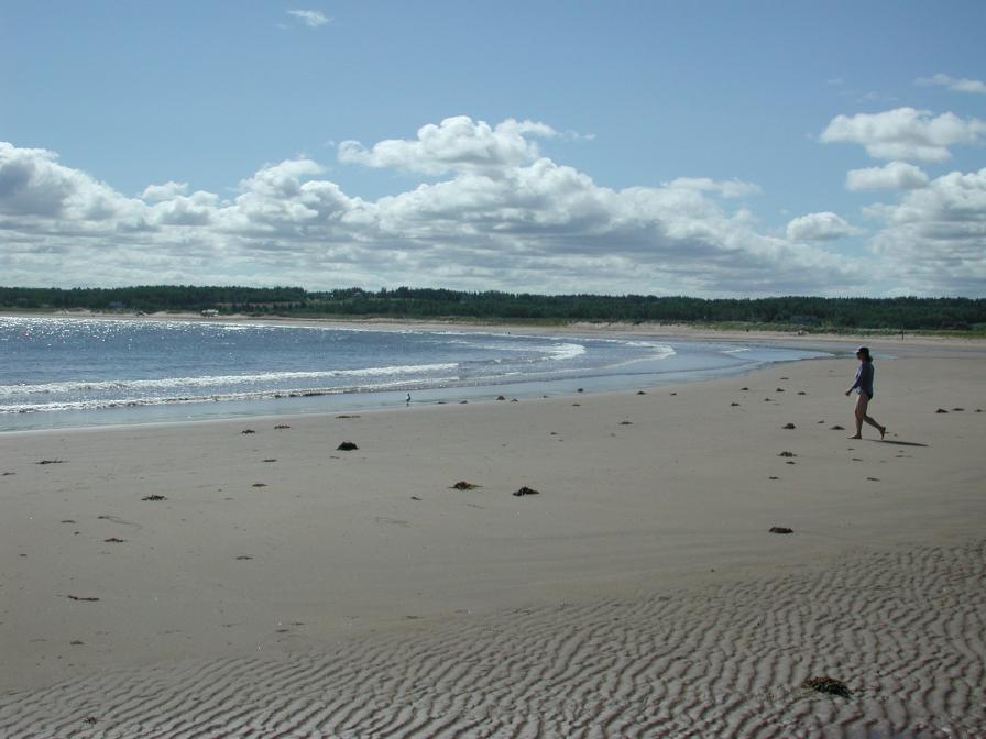 Great swimming at Melmerby Beach