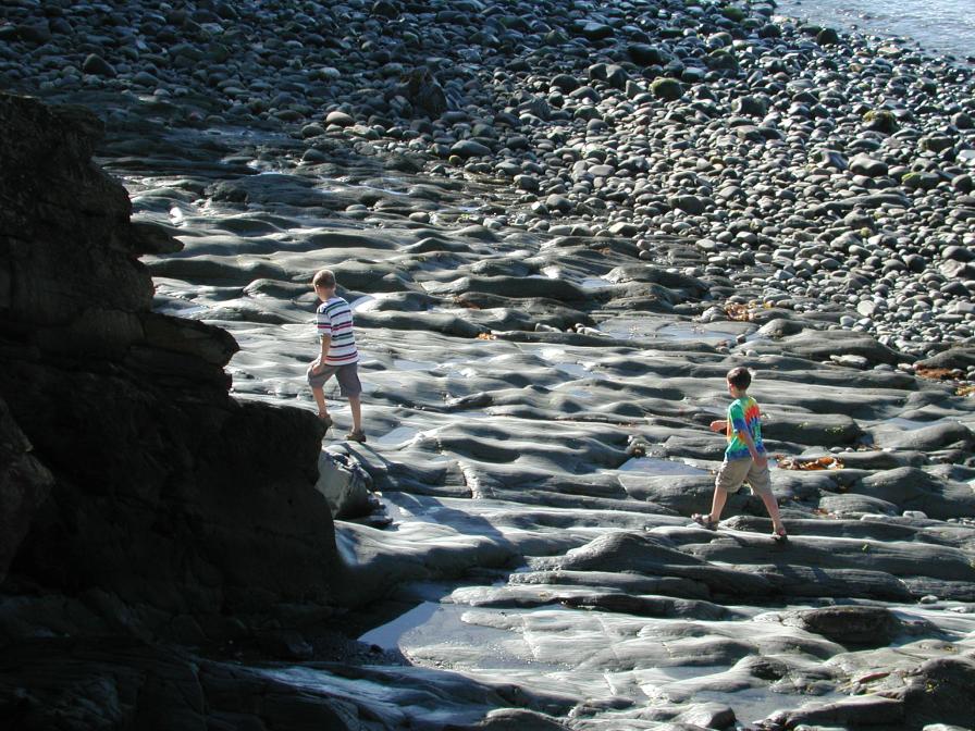 Smuggler's Cove patterns