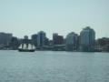 Silva and Halifax skyline