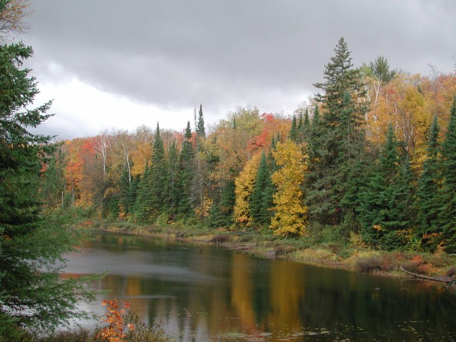 Algonquin Park Thanksgiving
