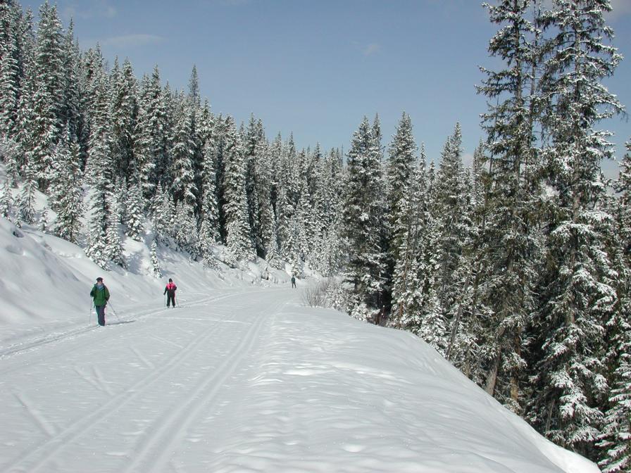 Moraine Lake Road
