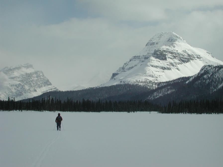 Bow Lake (South)