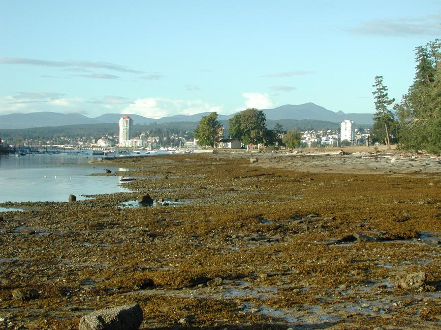 Nanaimo