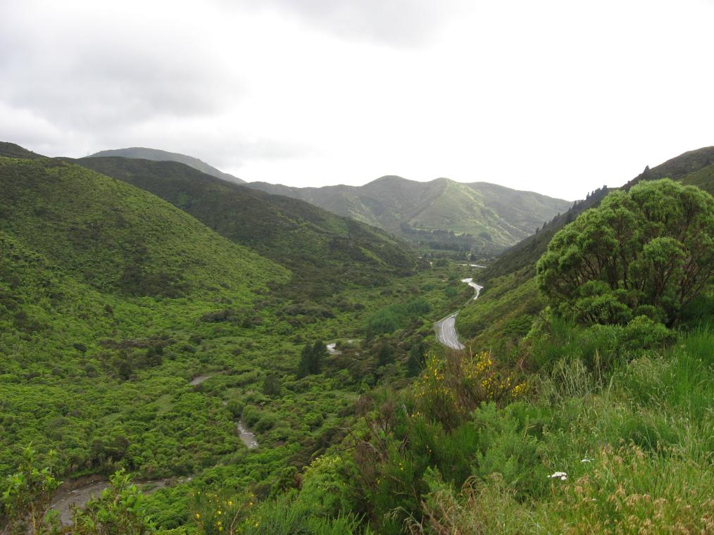 Highway 2 the Wairarapa