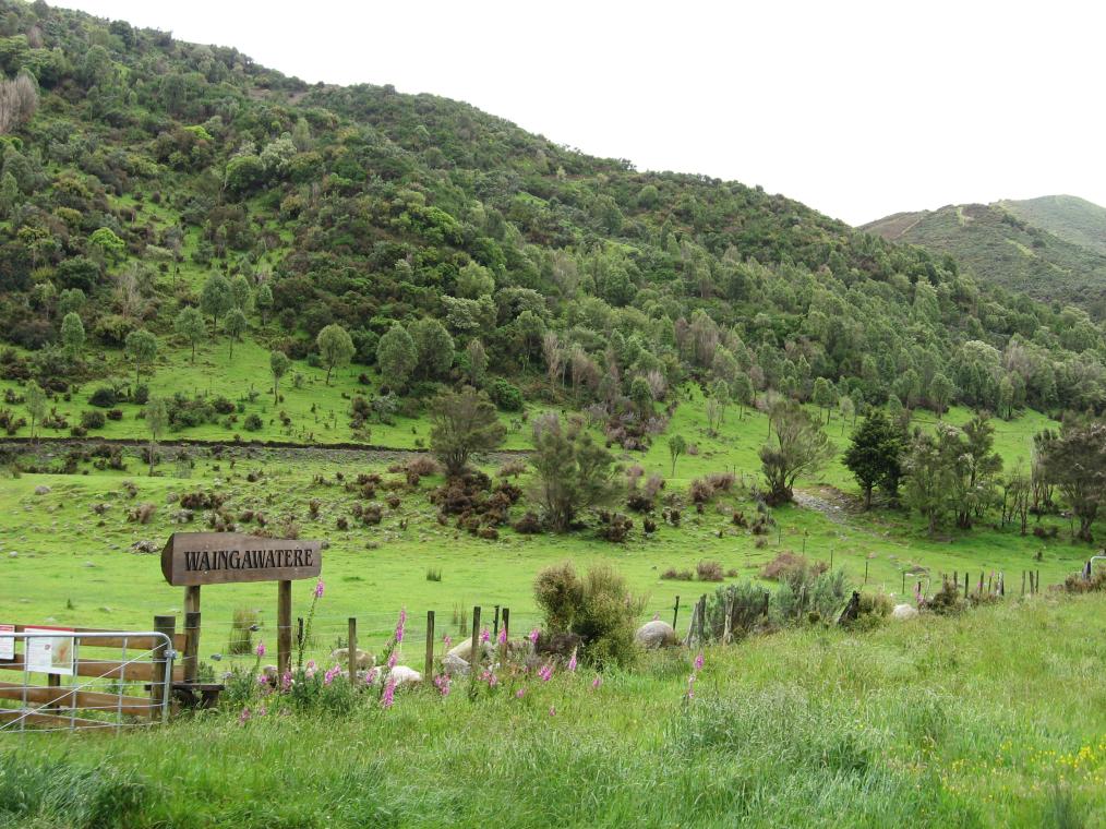 Waingawatere