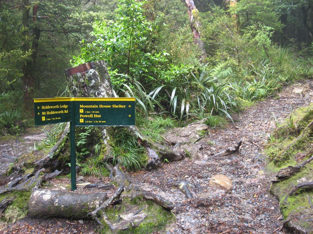 Heading to Powell Hut