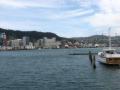 Wellington Harbour