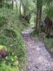 Tararua Forest Park