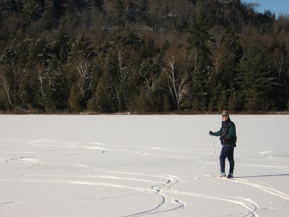Tracking Elusive Skaters