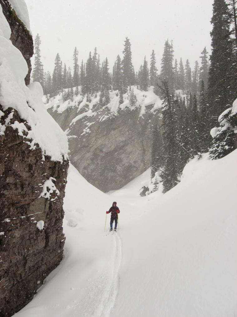 "And it's kind of pretty."