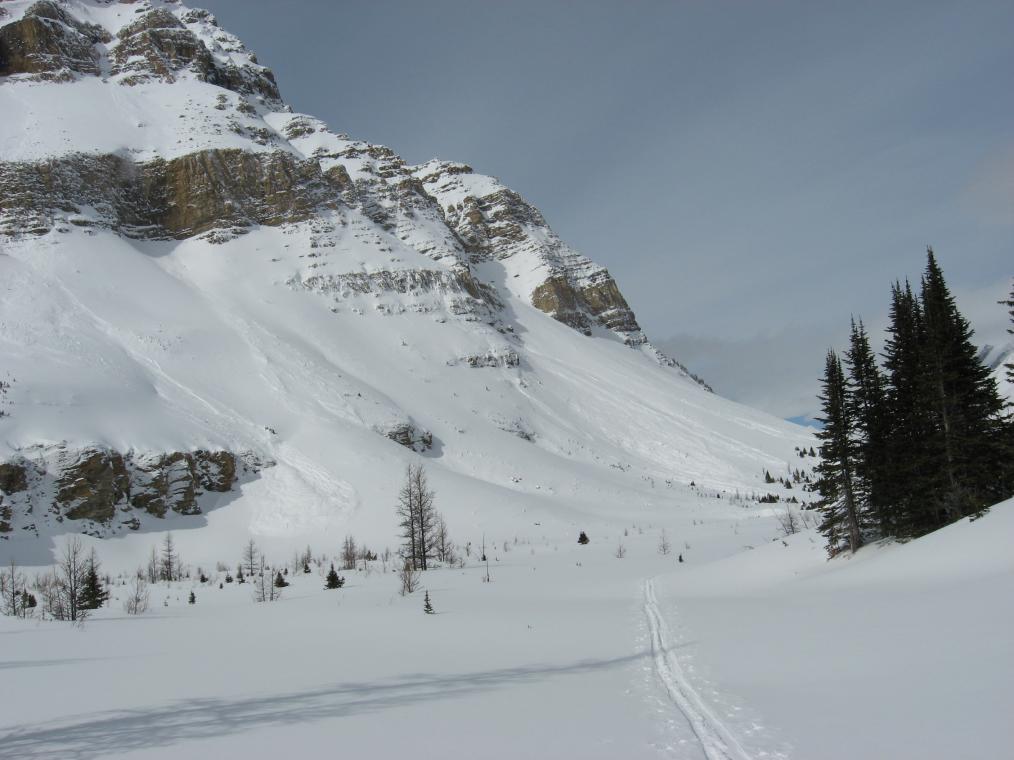 Recent small avalanches