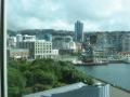 From Te Papa