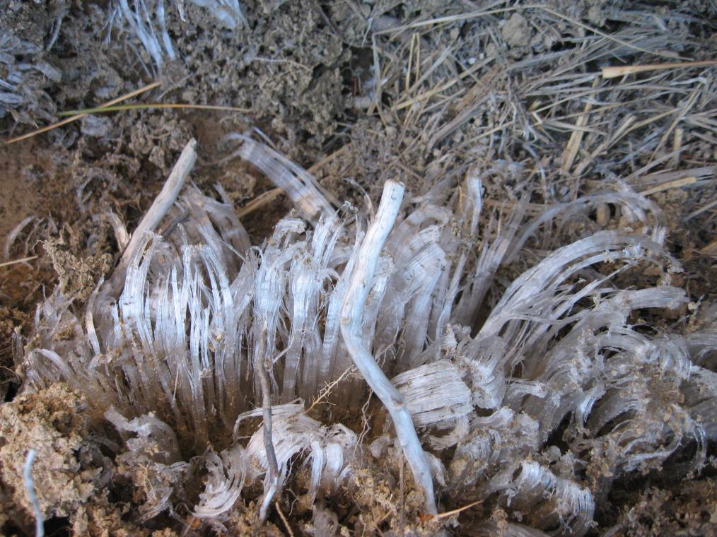 Ice Crystals - 4 cm