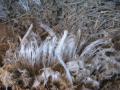Ice Crystals - 4 cm