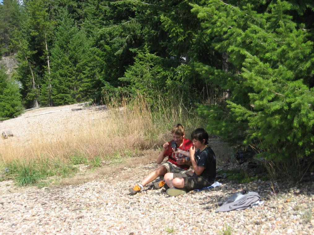 Sensible Alternative