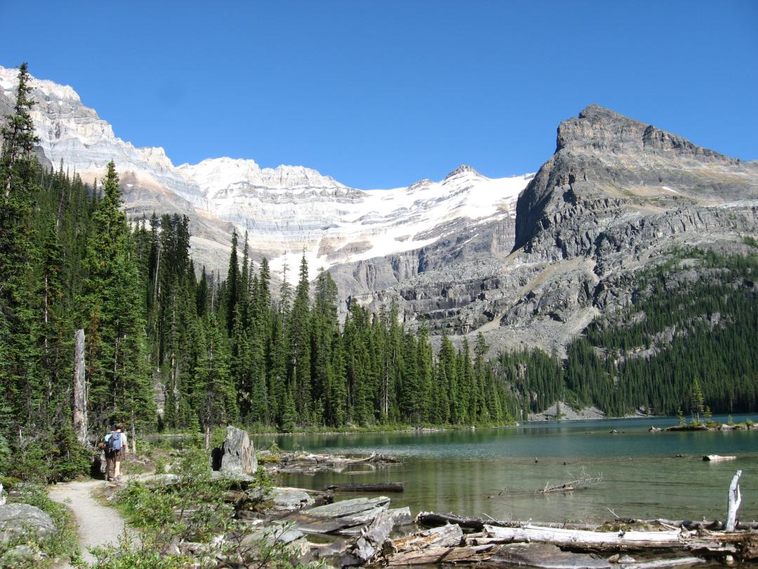 Lake O'Hara
